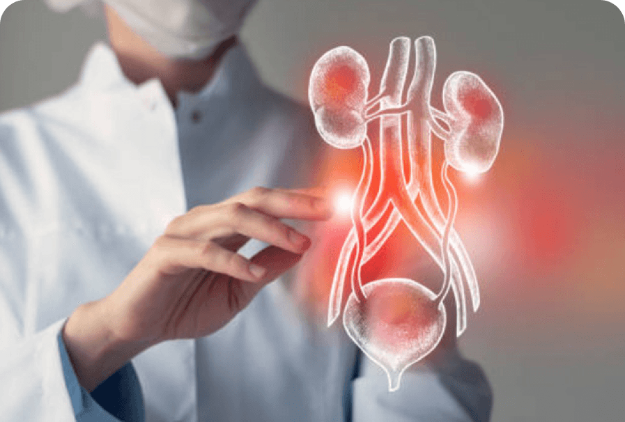 Ultrasonido urológico y uroginecológico